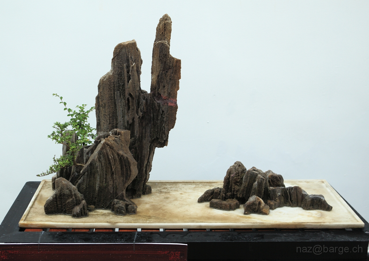 EOS 5D Mark II16_04_20135105.JPG